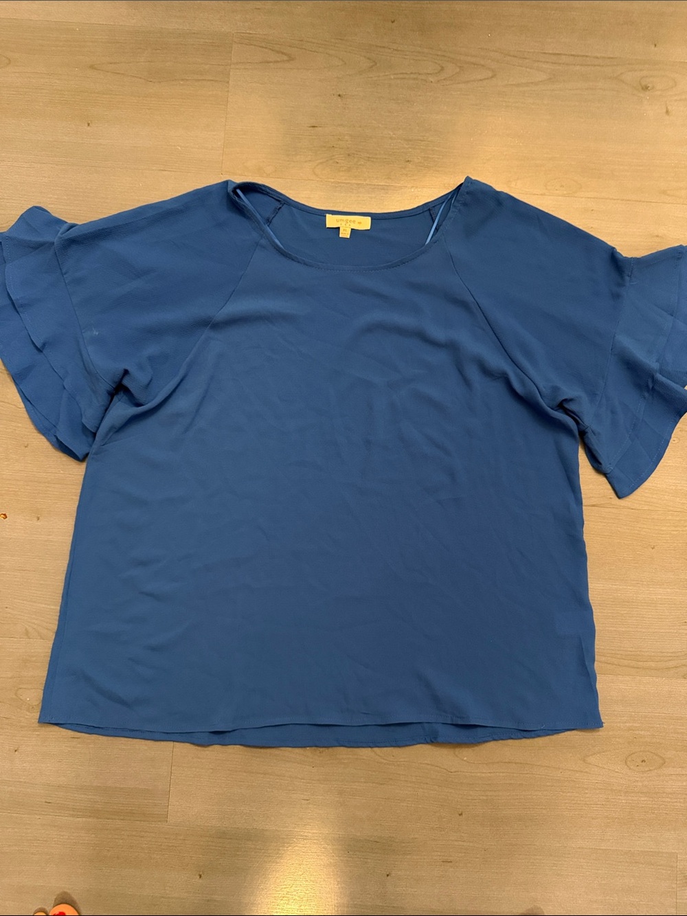 Umgee Blue Short Ruffle Sleeve Top